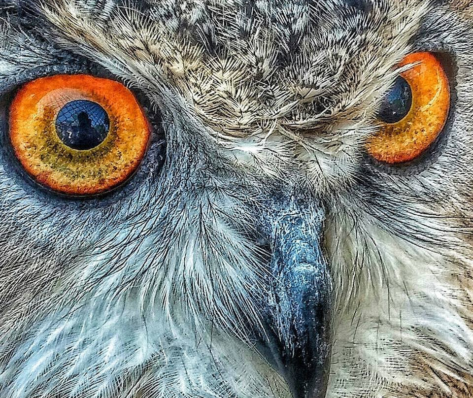 Negev Zoo-贝尔谢巴必去景点