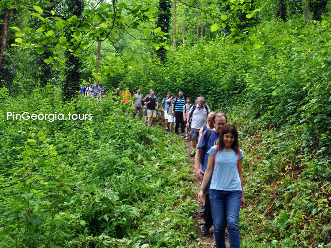 Pin Georgia-巴统必去景点