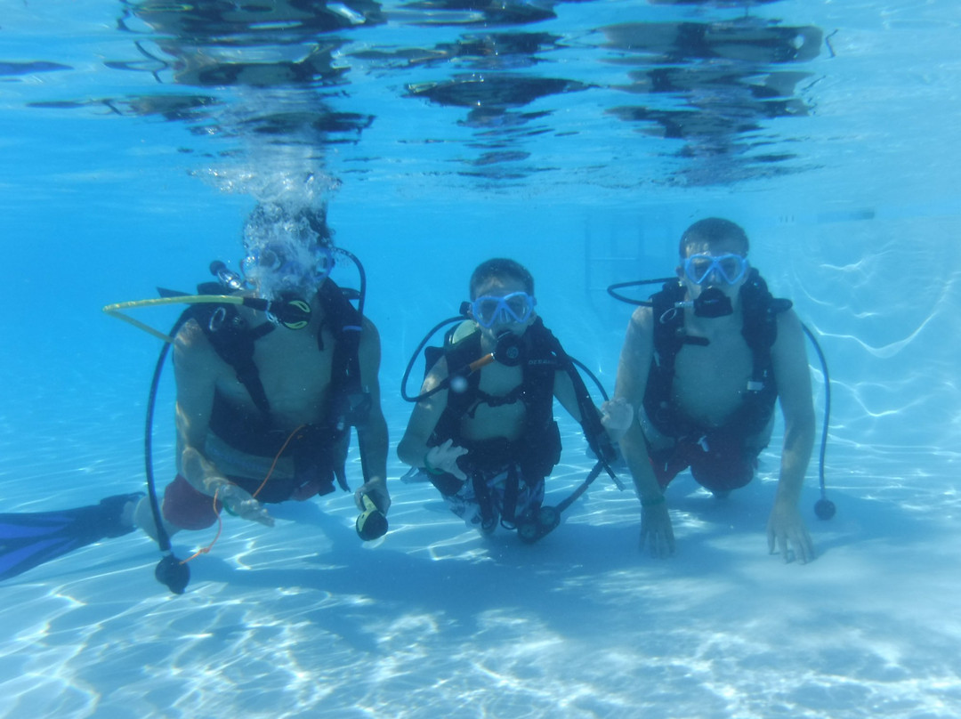 Homewood Suites by Hilton Myrtle Beach Oceanfront主图