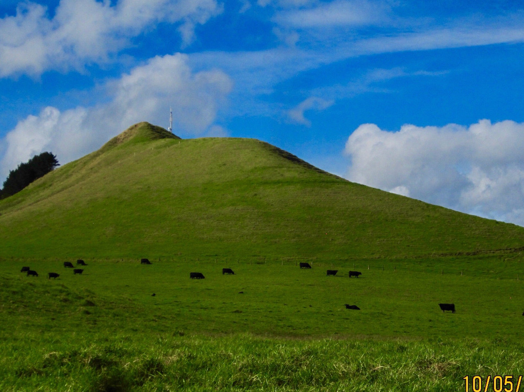 Waimamaku Coastal Track-Opononi必去景点