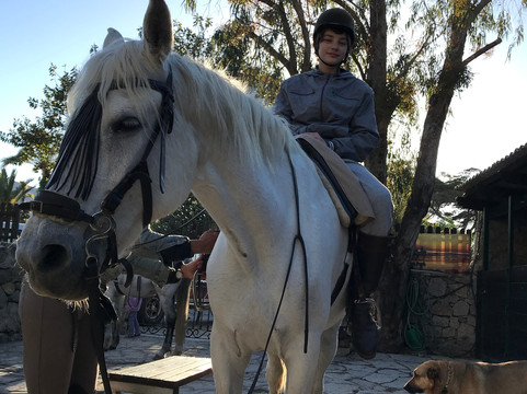 Hurricane Hipica - Day Tours-塔里法必去景点