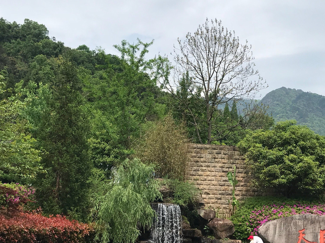 临安天目山风景区景点图片