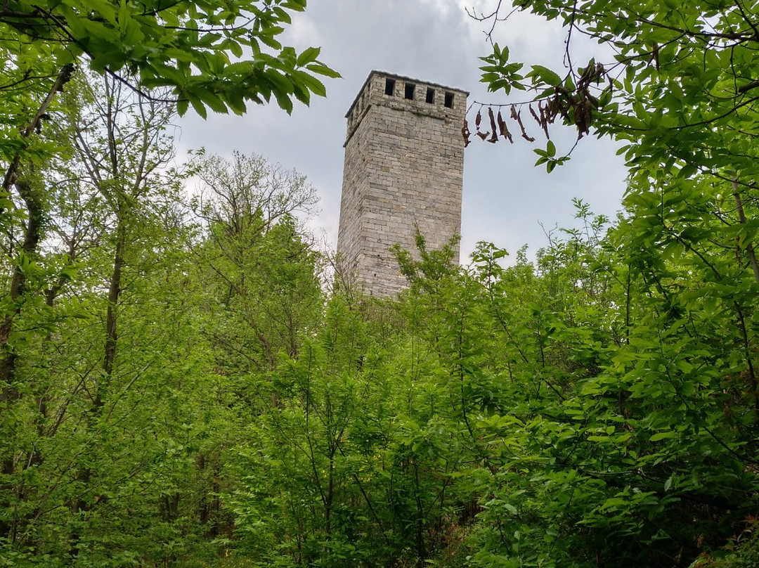 Torre di Buccione景点图片