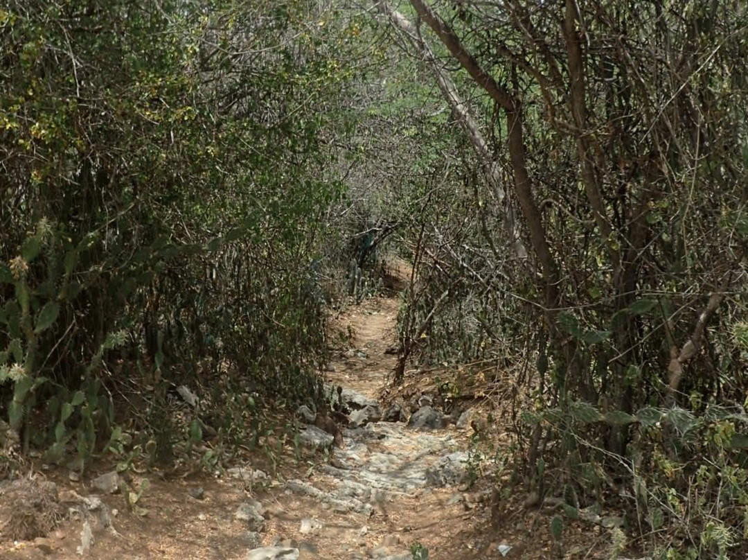 Landhuis Ascension-Barber必去景点