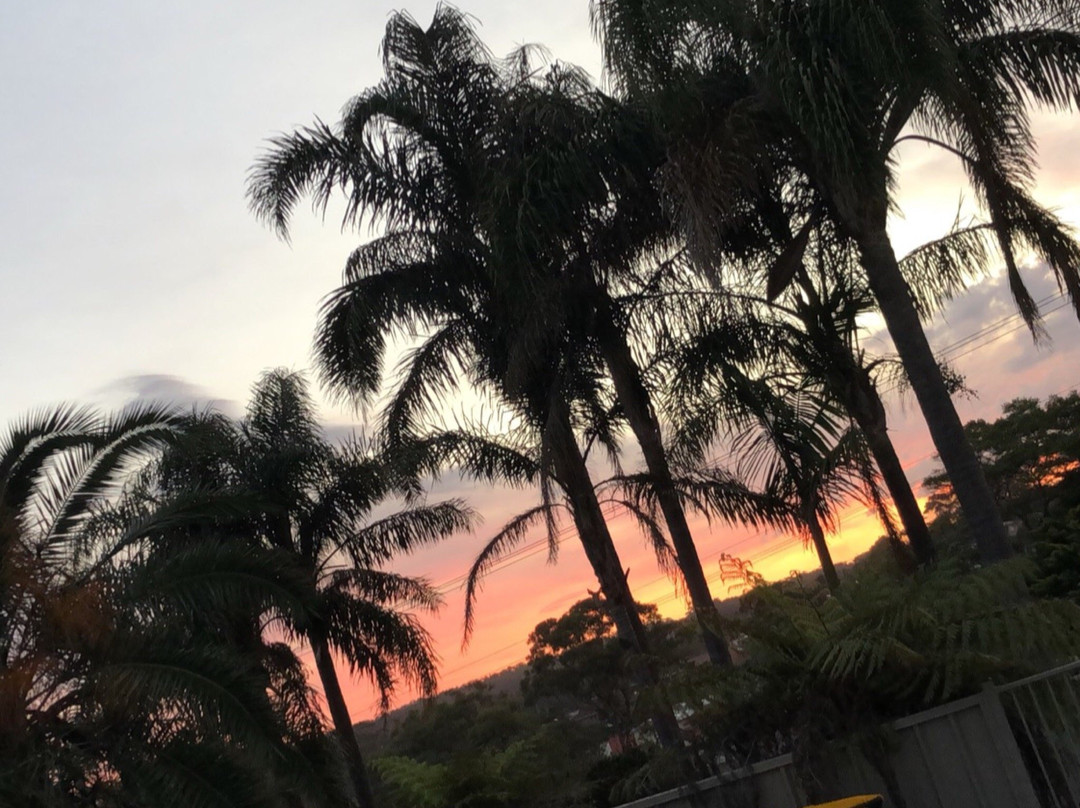 Sandpiper Motel主图