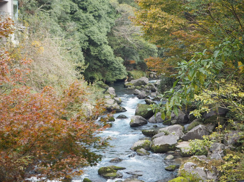 忘怀乡 雅叙苑主图