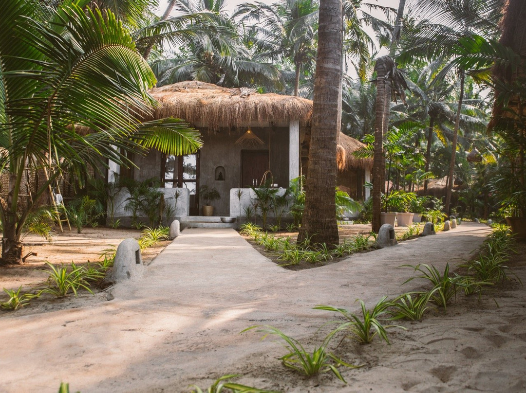 Palm Grove Beach Resort主图