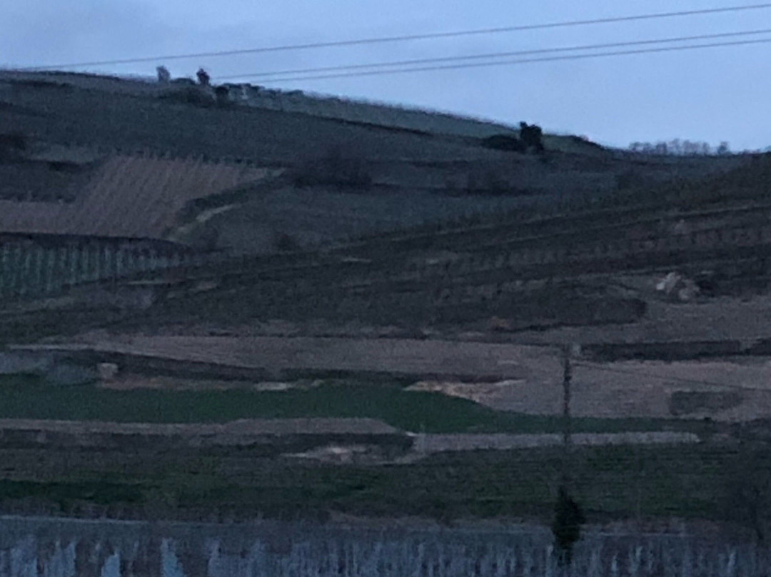 Domaine du Clos Saint Landelin  Véronique & Thomas Muré-Rouffach必去景点