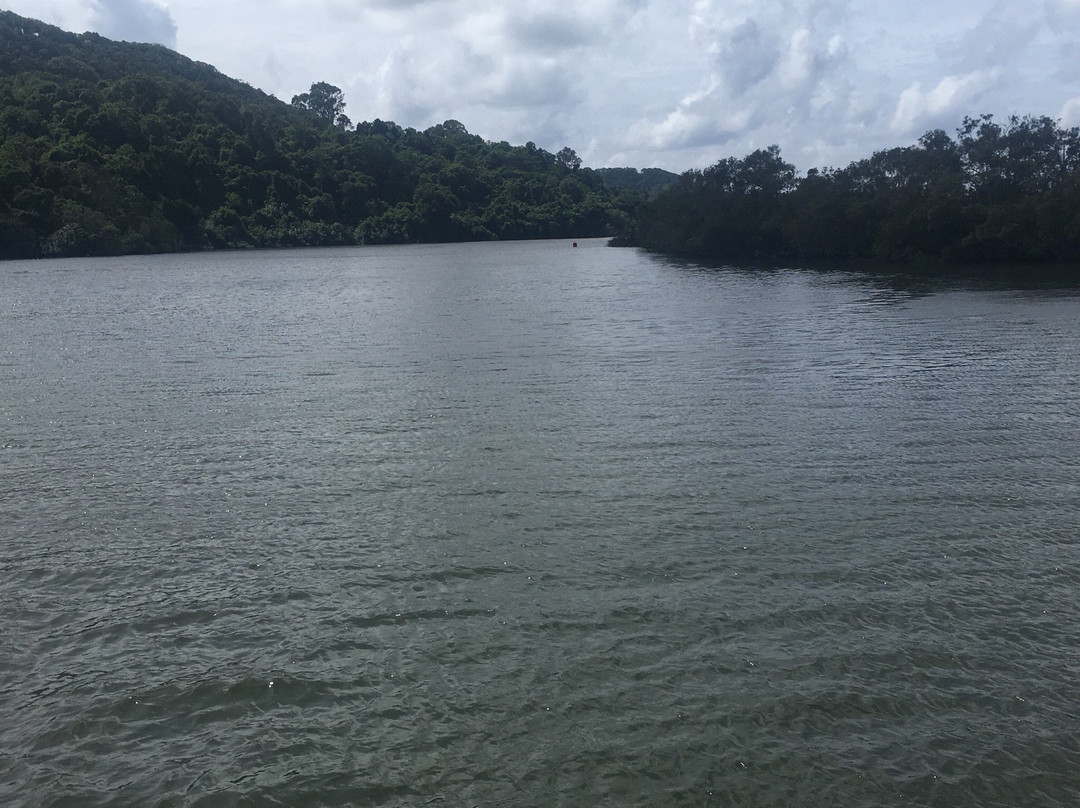 Mount Warning Tours-库伦加塔必去景点