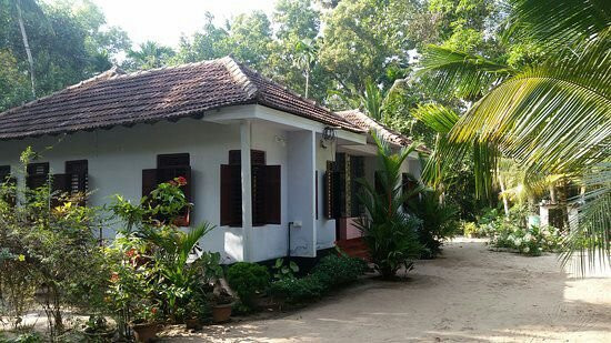 Marari Greenland Homestay主图