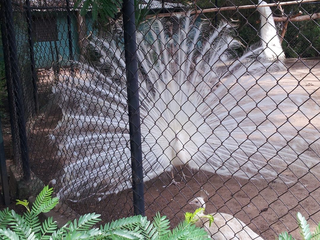 Parque Zoologico y Botanico Bararida景点图片