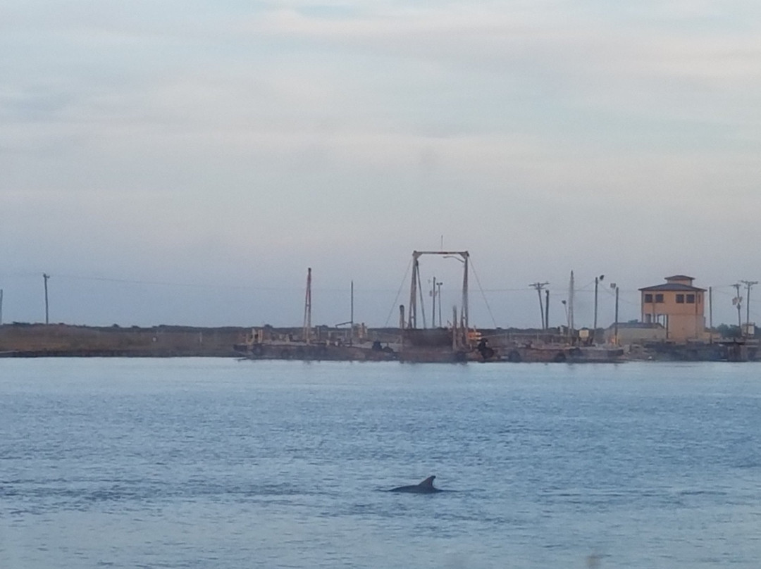 Cameron Ferry-Cameron必去景点