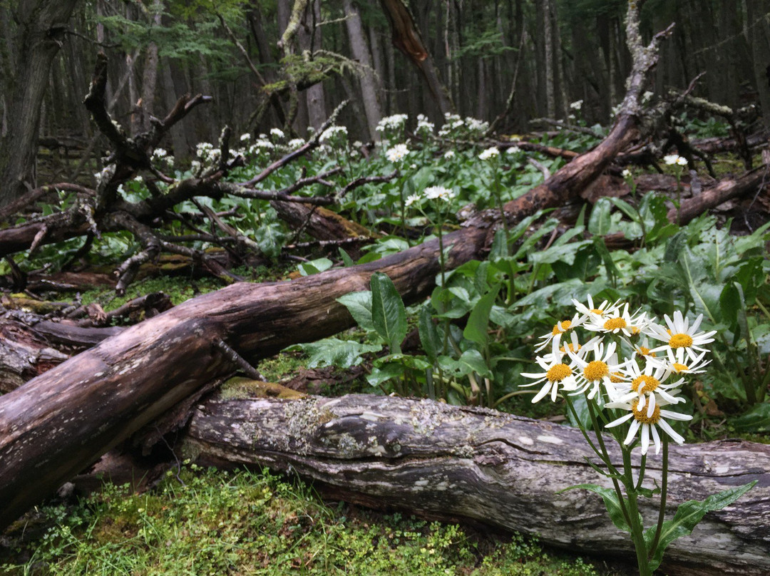 TDF Patagonia TOUR-Porvenir必去景点