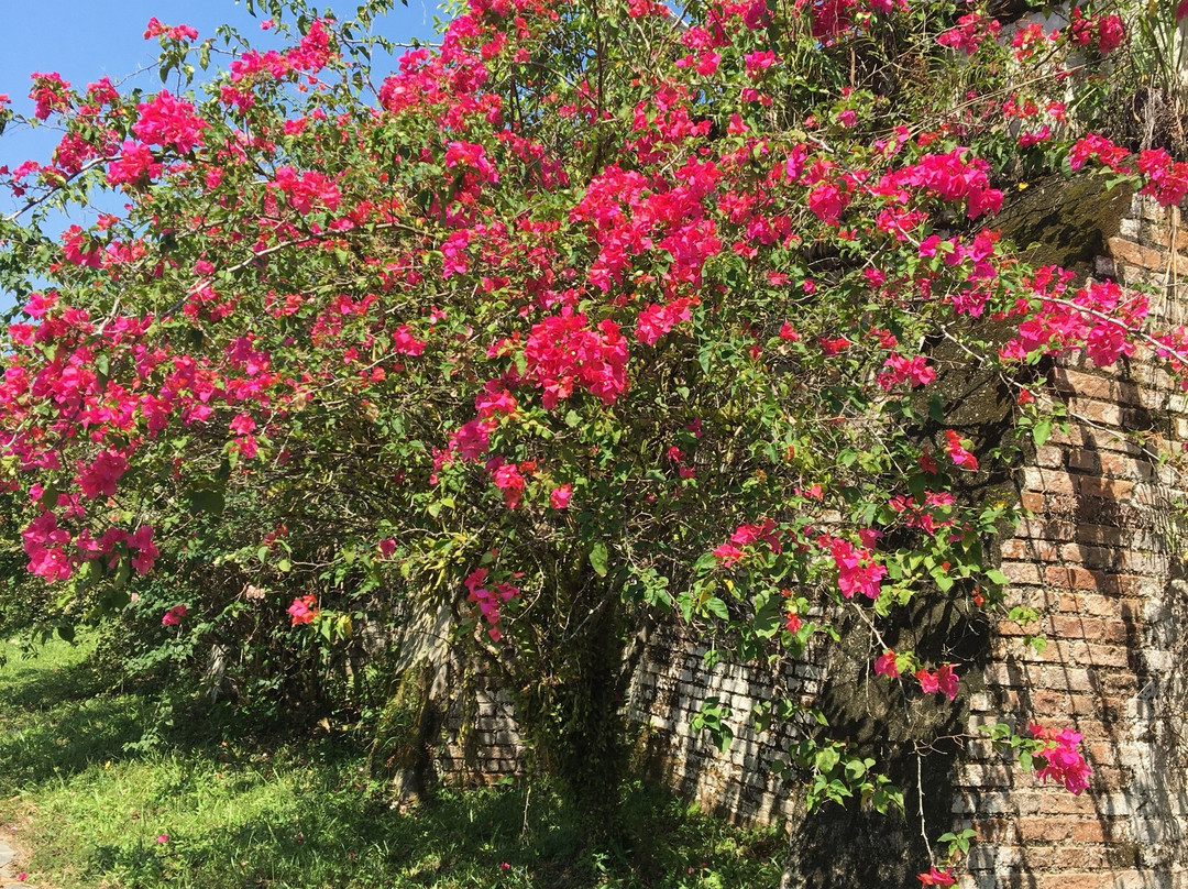 Castle of King Billah-Pusing必去景点