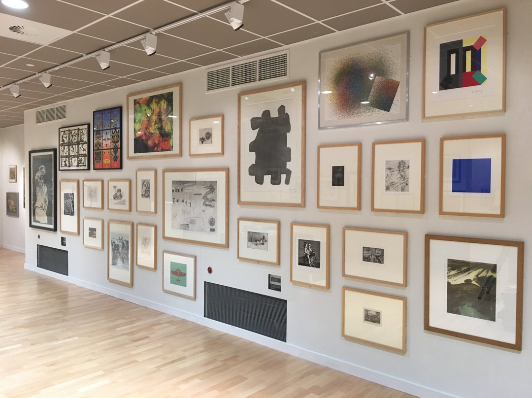 The Young Gallery-索尔兹伯里必去景点