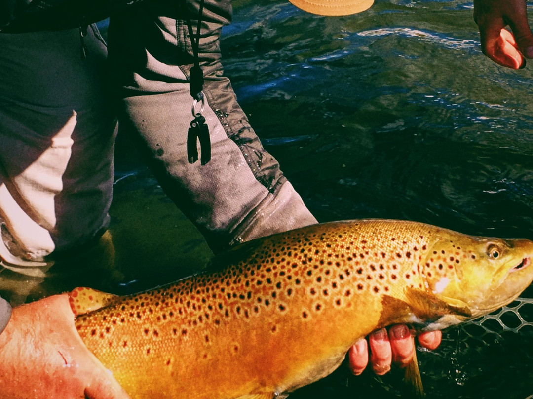 Park City Fly Fishing Guides景点图片