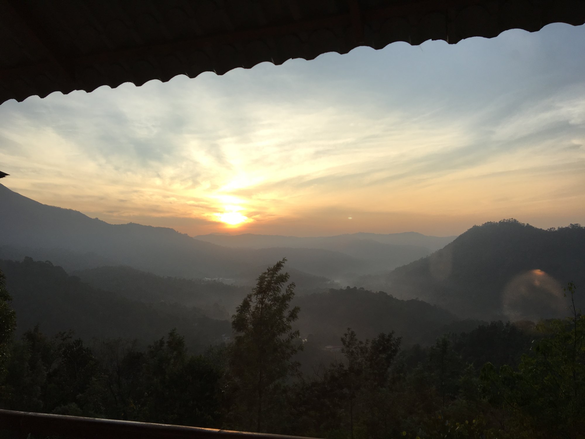 Tea Village Munnar-酒店景观