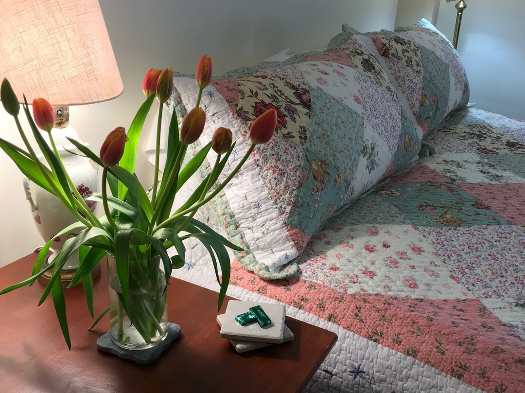 Spring Hill Inn主图