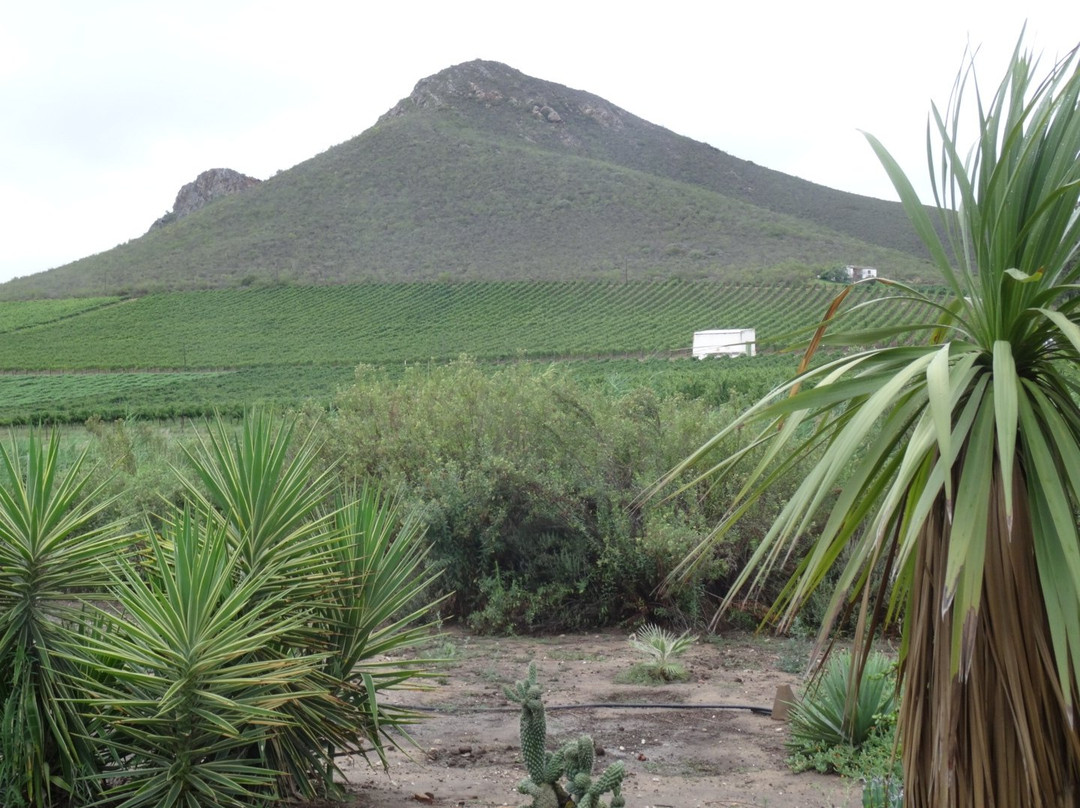 Fraai Uitzicht 1798主图