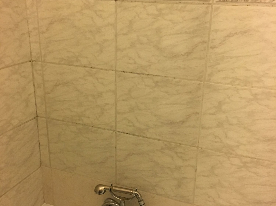 Hotel Panzio 100主图