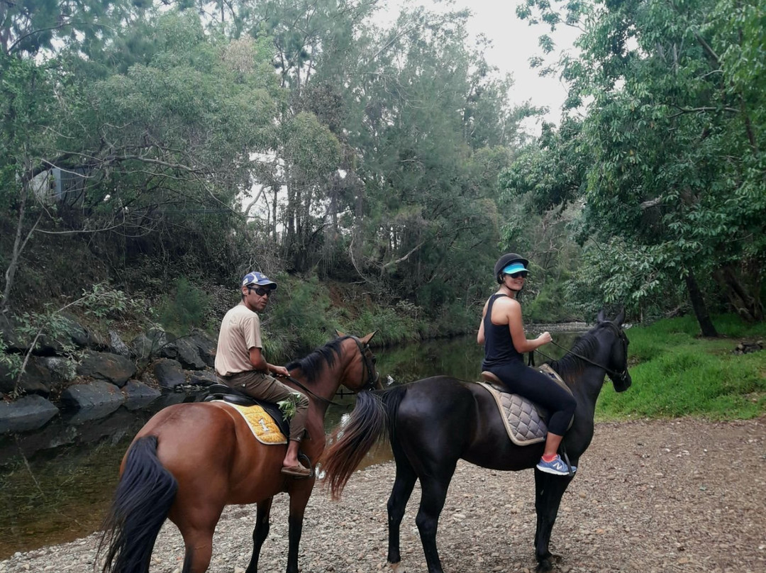 Yala Ranch-Dumbea必去景点