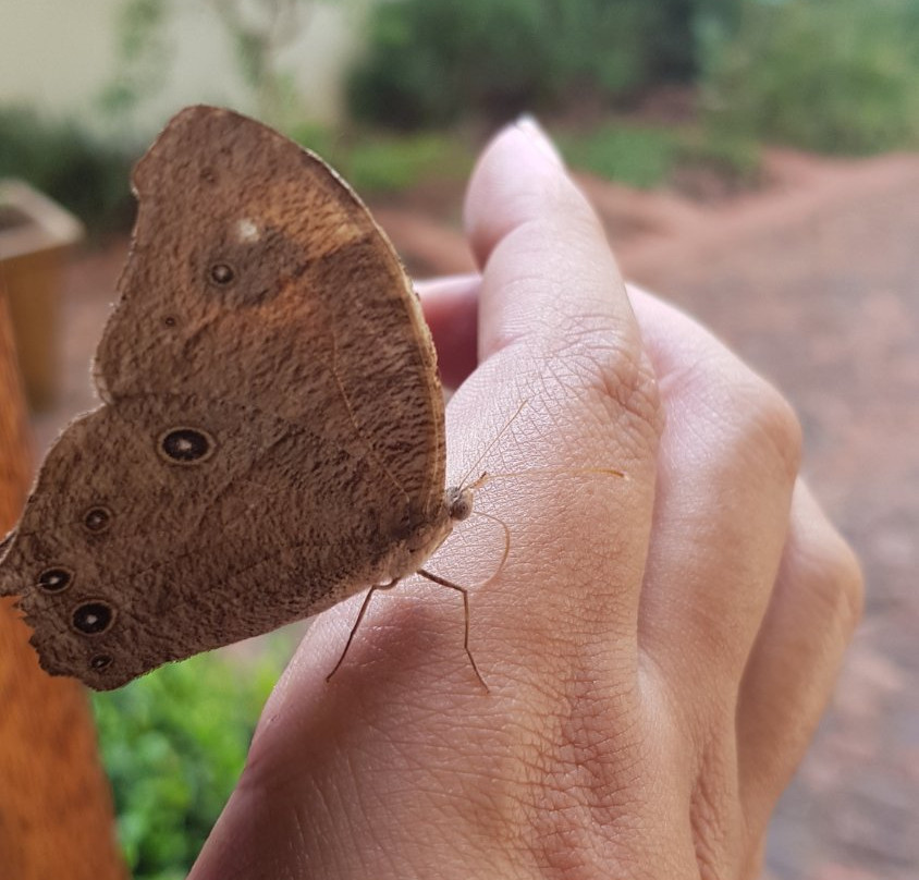 Budmarsh Country Lodge主图