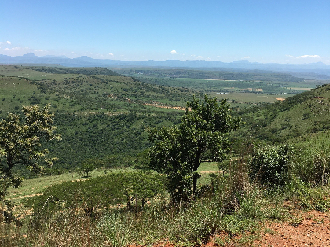 BushBaby Safaris - Day Tours-丹地必去景点