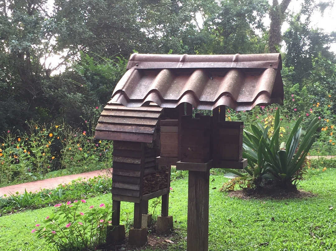 Tours At Finca Luna Nueva景点图片