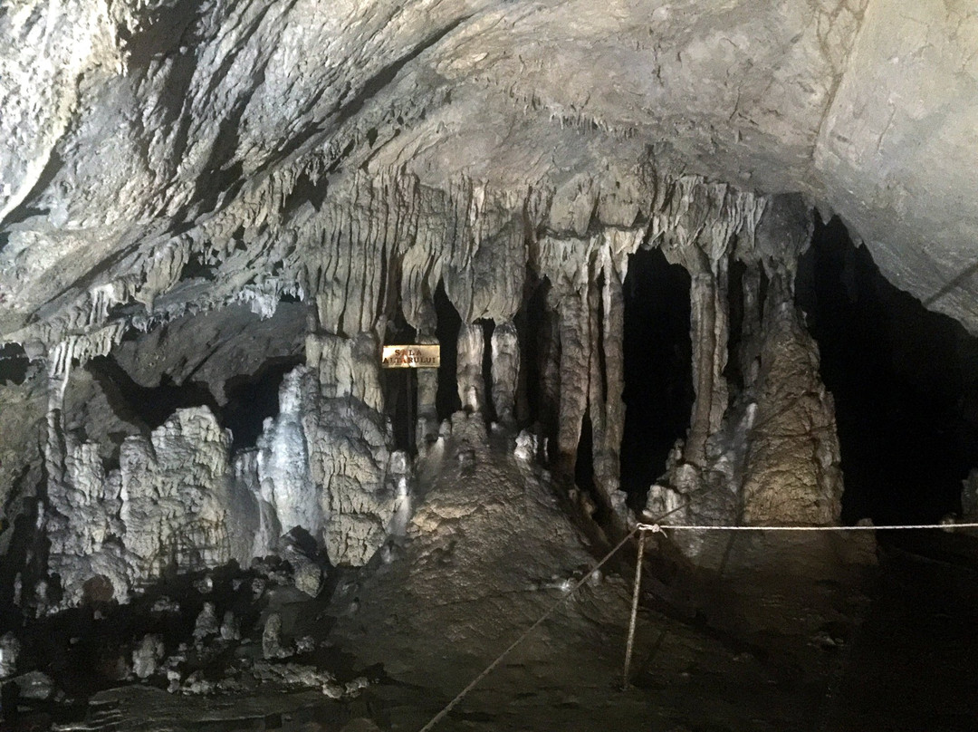 The Women's Cave ( Pestera Muierii )景点图片