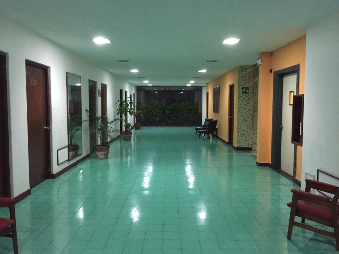 帕拉西奥酒店主图