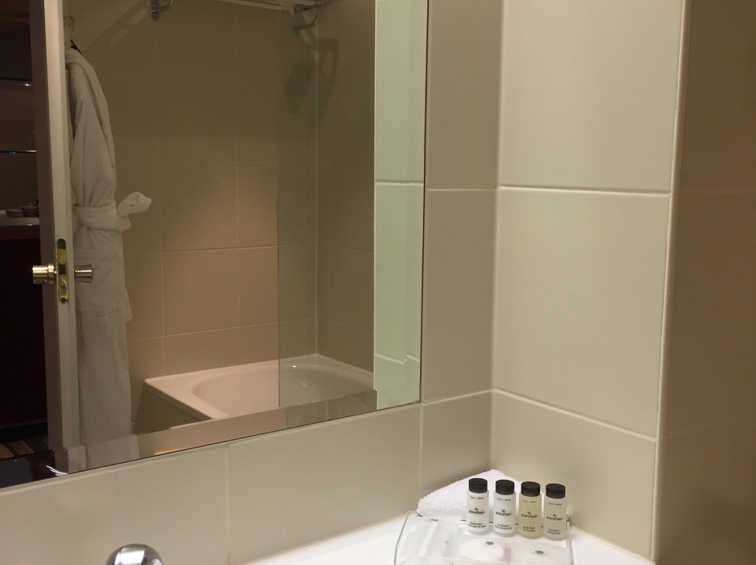 法兰克福机场喜来登酒店及会议中心主图