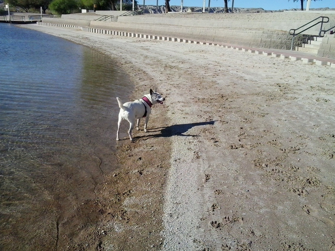 Big Bend of the Colorado-拉芙琳必去景点
