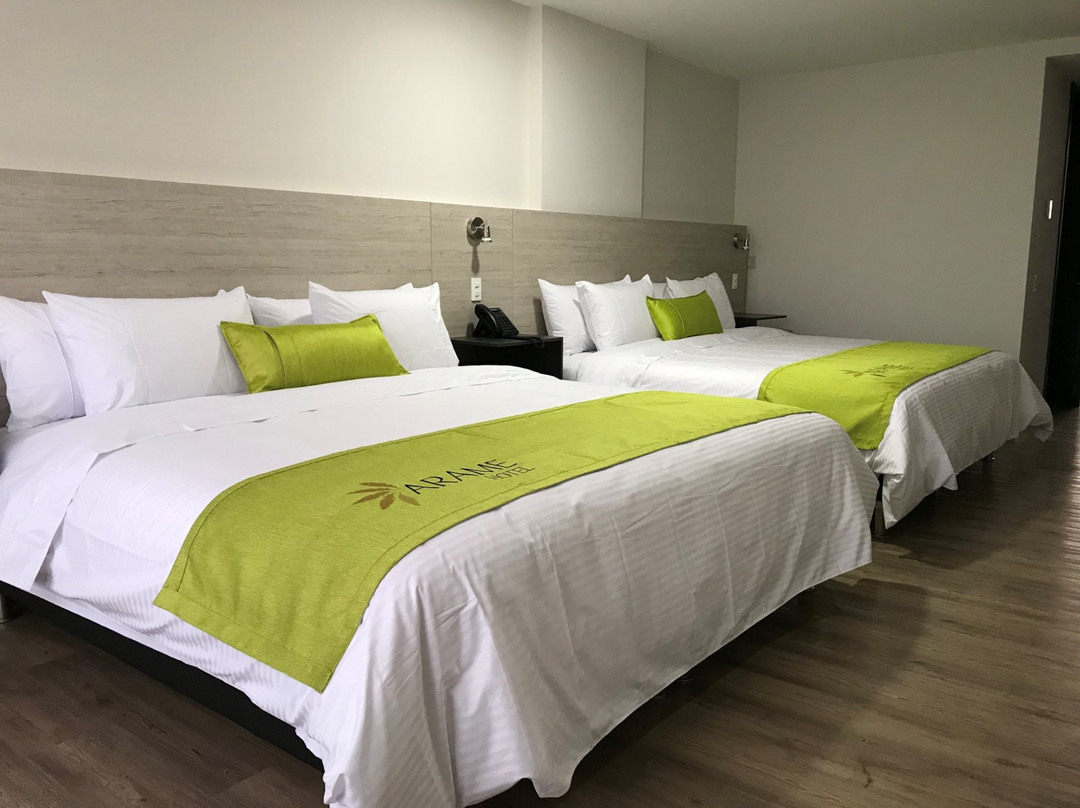 Caldas酒店住宿-Arame Hotel