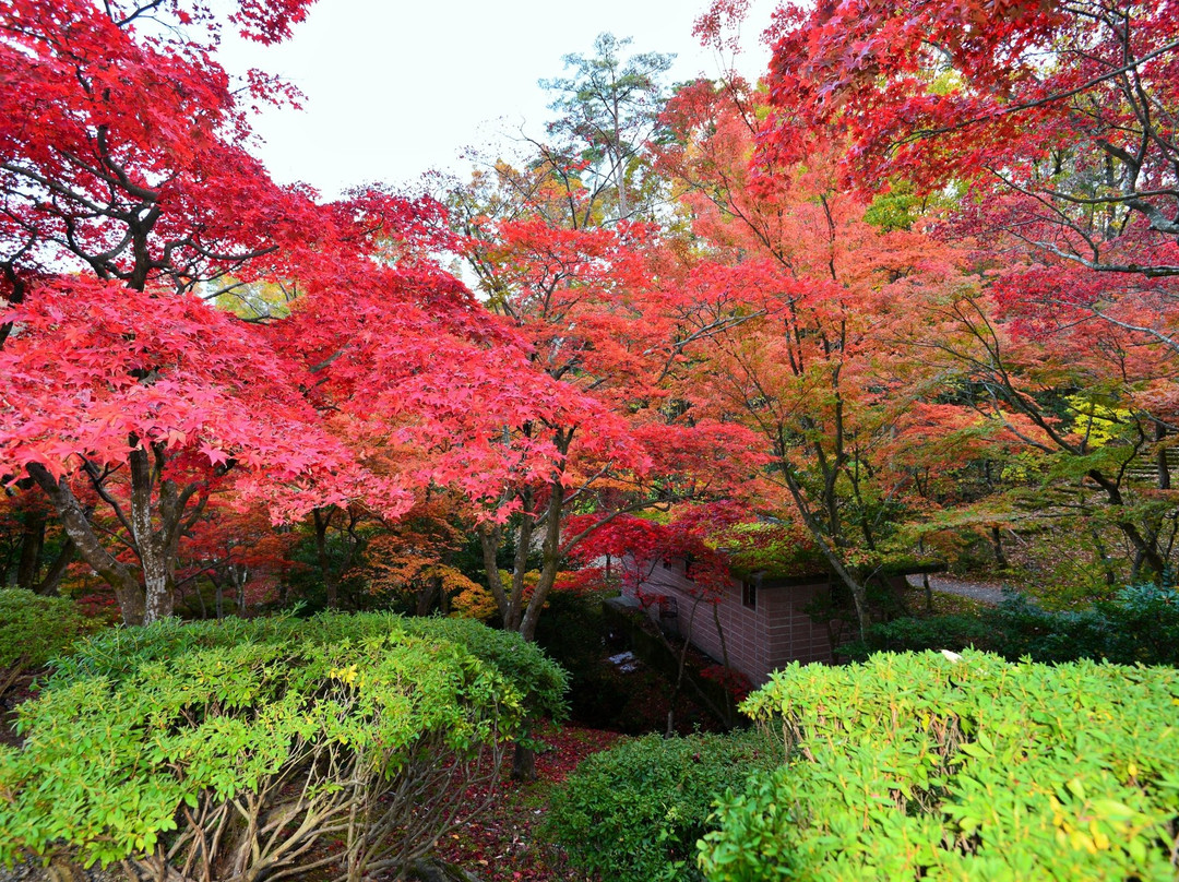 Yahiko Park景点图片
