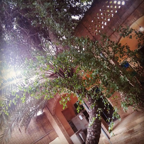 Mapar House景点图片