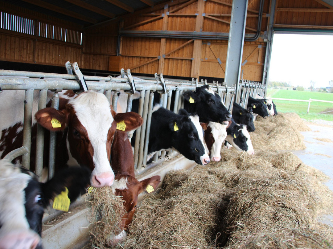 Bauernladen - Gut Ellscheid-Haan必去景点