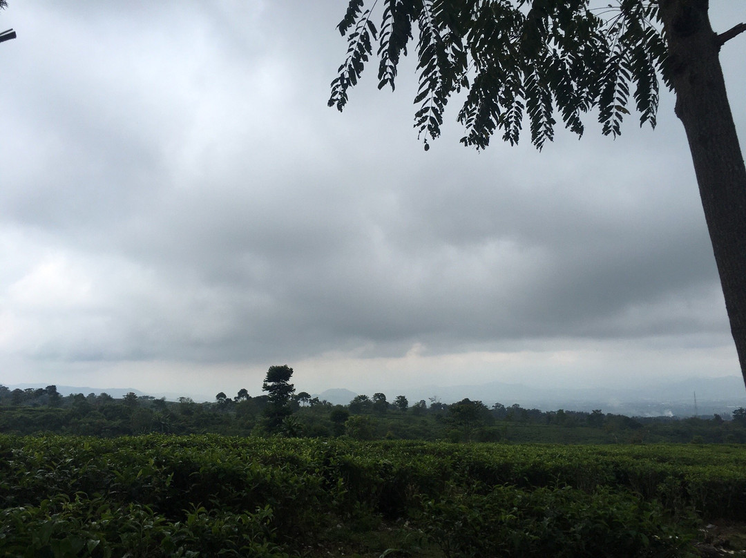 Pondok Halimun-苏加武眉必去景点