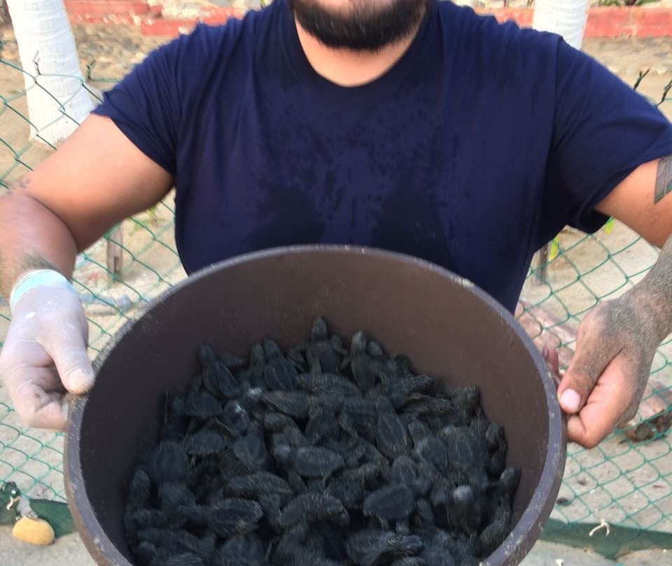 ECOT-Troncones必去景点