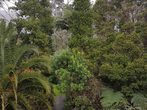 Labyrinth Woodworks and Puzzle Museum-Omapere必去景点