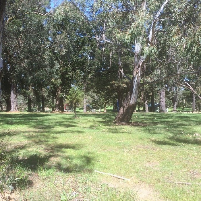 Mt Martha Public Park景点图片