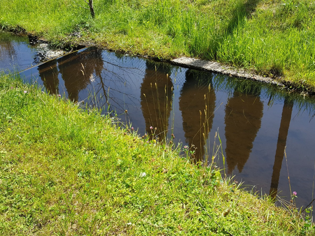 Ludwigswinkel旅游攻略图片