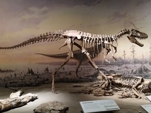 Legendary Travels Day Tours-卡尔加里必去景点