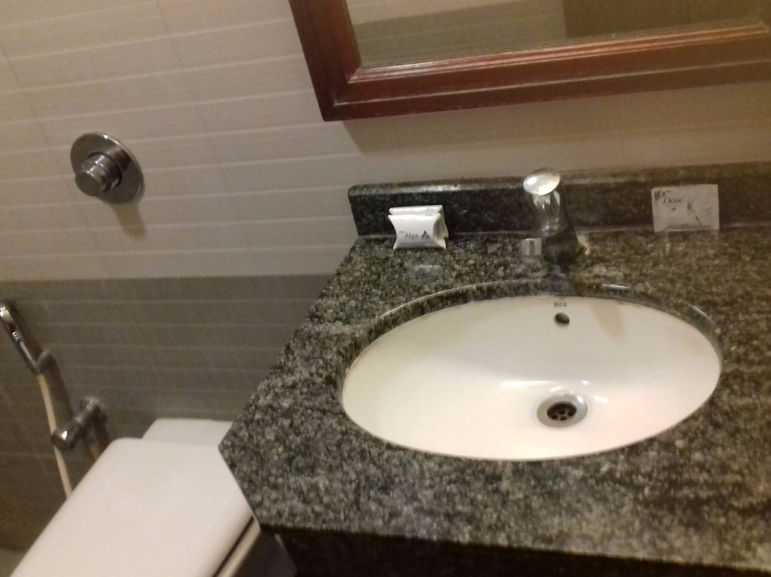 Hotel Alps Residency主图
