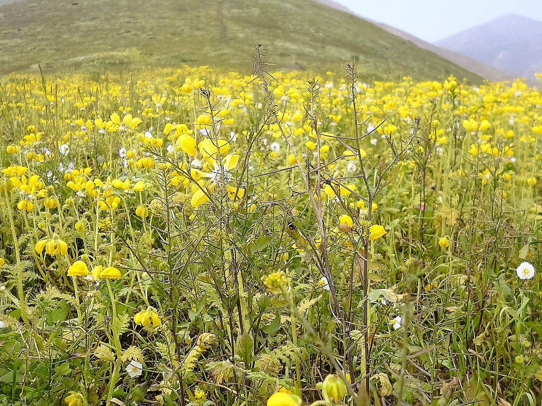 PeruStep1-利马必去景点