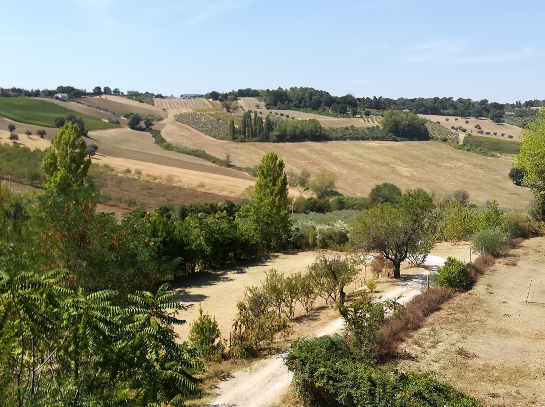 Parco Agrituristico Il Frutteto del Monte景点图片