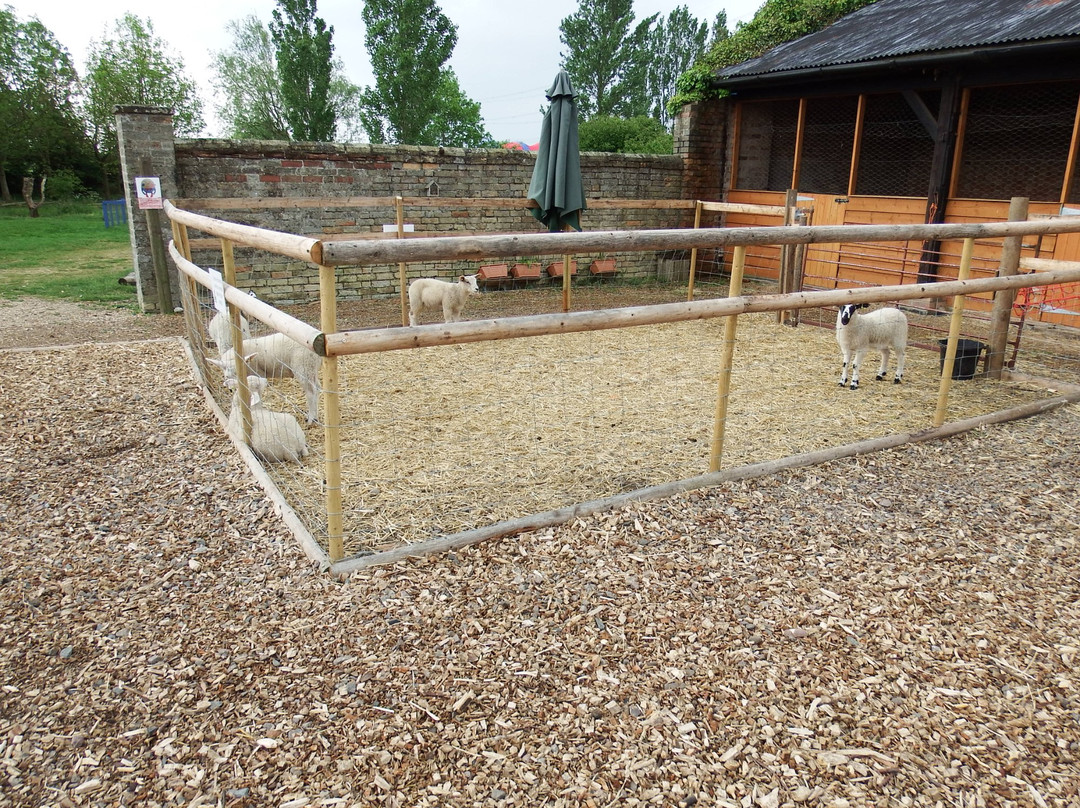 Soham旅游攻略图片