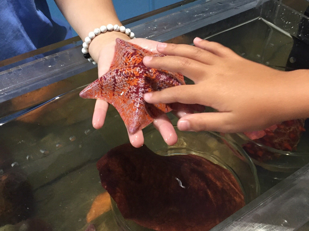 Central Coast Aquarium景点图片