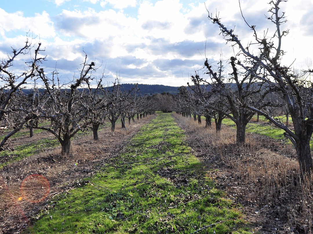 Henry of Harcourt-Harcourt必去景点