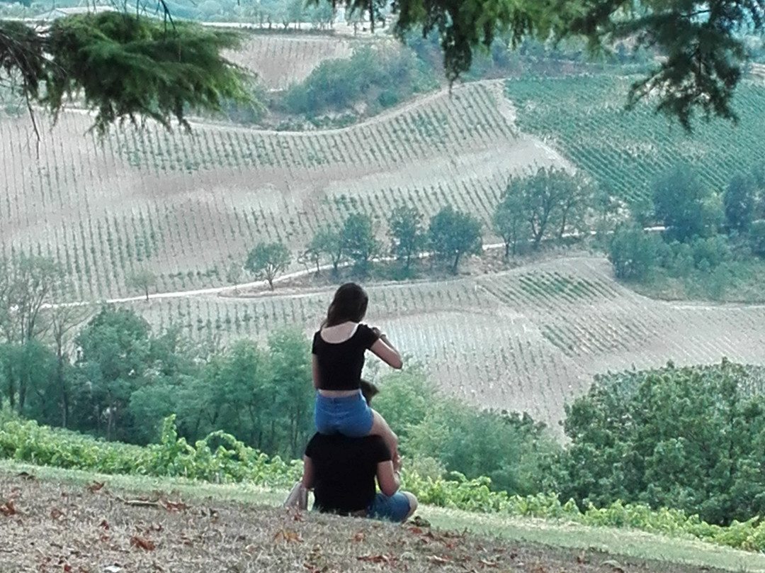 Castello di Cigognola-Cigognola必去景点