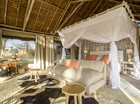 Kuro Tarangire, Nomad Tanzania